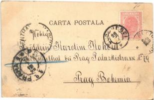 1899 (Vorläufer) Bucuresti, Bucharest, Bukarest; Panorama I. (EK)