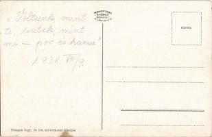 Nagycenk, Gróf Széchenyi István sírboltja a temetőben