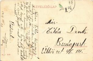 1910 Zalatna, Zlatna; W.L. 3193. (EK)