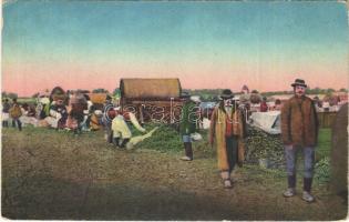 Paprika és hagyma árusítás délmagyarországi vásáron. Photochromüra Temesvár Nr. 254. / Paprika and onion market in Southern Hungary, folklore (EK)