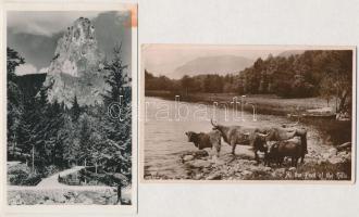 4 db RÉGI képeslap: Békás szoros, Graz, Uzsoki szoros, szarvasmarha  / 4 pre-1945 postcards