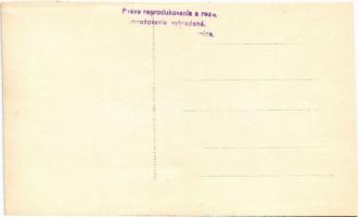 Borosznó-fürdő, Brusno-kúpele (Borosznó, Brusznó, Brusno); Hotel Ludvik / szálloda / hotel. photo (v...