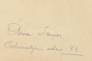 cca 1900 Abaliget, vasúti híd, kartonra kasírozott fotó, kissé sérült karton, 24×30 cm