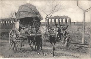 Roma, Rome; Sulla via Appia / road, horse-drawn carriage