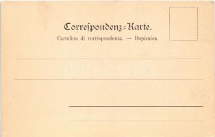 Ika, Ica (Abbazia, Opatija); Totalansicht / general view