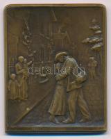 Franciaország ~1900-1920. "HYGIENE ARCHITECTURE" kétoldalas Br plakett, peremen gyártói je...