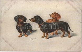 Dachshund dogs. T.S.N. Serie 1565. No. 4. s: Reicherl