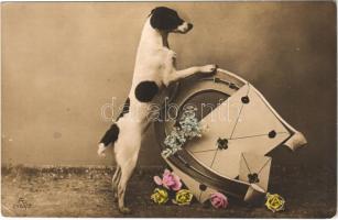 1908 Dog with horseshoe (EK)