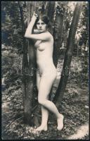 cca 1910 Erotikus fotó, jó állapotban, 13,5×8,5 cm / nude lady, photo