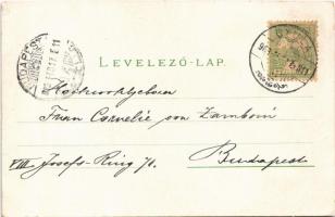 1903 Gyula, Erkel Ferencz tér, templom, kút vízhordó kocsik, szobrok. Dobay János kiadása és tulajdo...