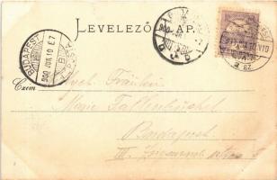 1900 Verőce, Nógrád-Verőce; Árpád utca, pálinka. Seefehlner