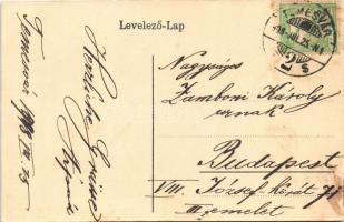 1908 Temesvár, Timisoara; Szt. György tér, Zápolya utca, villamos, Maison Lechner, Müller Péter vegy...