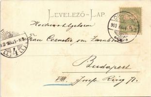 1903 Oravica, Oravita; Bányavölgy, utca. C. Kehrer / mine valley, street  (fl)