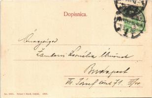 1909 Eszék, Essegg, Osijek; Jäger-ova ulica / Jägergasse / Vadász utca, Rajal szálloda lovashintója....