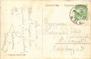 1911 Dálya, Dalja, Dalj (Erdőd, Erdut); Trajekt Gombos / Personenzug / személyvonat gőzkompon Gombos...