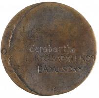 DN "Egry J. baráti kör Badacsony" kétoldalas, öntött Br plakett. Szign.: Fr(?) (84mm) T:2