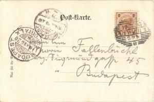 1898 (Vorläufer) Wien, Vienna, Bécs; Donau-Dampfschiffahrts-Gebäude / Palace of DDSG. Letter of Karl...