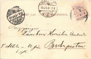 1899 (Vorläufer) Zagreb, Zágráb; vasútállomás, vonatok / Drzavni kolodvor / railway station, trains