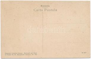 Sinaia, Schimbarea Garzei / Changing of the Peles castle guards