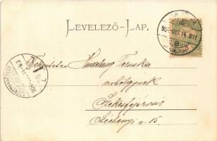 1904 Mór, Moór; Vásár tér ökörszekerekkel. Stefan Wiesner