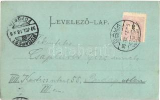 1899 (Vorläufer) Baja, Báró Eötvös József utca este, Dávid Jakab férfi szabó, könyvnyomda üzlete. If...