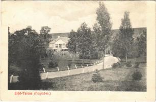 1913 Erdőtarcsa, Erdő-Tarcsa (Nógrád); Kubinyi-Márkus-kúria, kastély