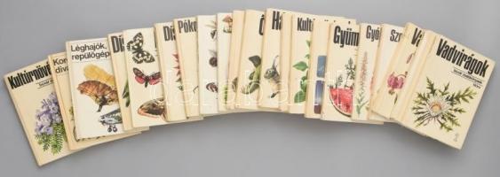 Búvár zsebkönyvek 19 kötete, kolibri könyvek 2 kötete. Kiadói kartonált papírkötés. Többnyire kopottas állapotban.
