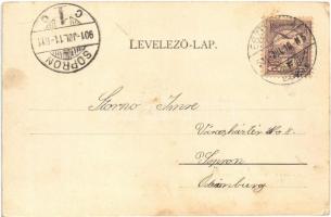 1901 Esztergom, Buda utca. Stromf Ignác kiadása (EK)