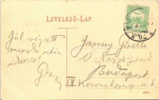 1906 Győr, Baross út, fiákerek, üzletek. Nicsmann József kiadása