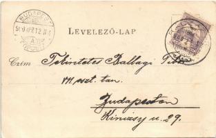 1900 Ráckeve, Árpád szobor, református templom