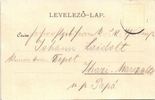 Lábod, keményítő gyár, grófi kastély, Hermann kereskedése és vendéglője, tél. Fischel Fülöp kiadása,...