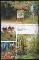 Béni Kornél- Dr. Fülöp Gyula- Dr. Hatházi Gábor: A 700 éves Csókakő. Hn., 1999, Csókakő Község Önkor...