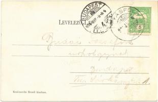 1903 Budapest XVI. Mátyásföld, Mátyás az igazságos szobor, Nagy szálloda. Kraicsovits Rezső kiadása ...