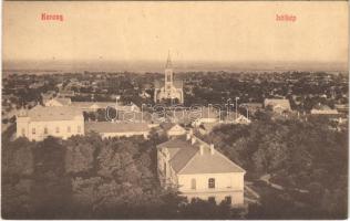 1908 Karcag, látkép templommal. Nagy Lajos kiadása 8.