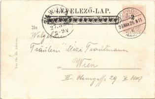 1899 (Vorläufer) Sopron, Oedenburg; Kleine Teichmühle / Tómalom. L.F. Kummert 1694. floral, litho