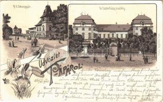 1903 Pápa, M. kir. dohánygyár, Gr. Eszterházy kastély. Franz Appelfeld Art Nouveau, floral, litho