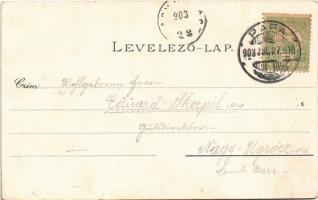 1903 Pápa, M. kir. dohánygyár, Gr. Eszterházy kastély. Franz Appelfeld Art Nouveau, floral, litho