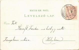 1898 (Vorläufer) Szombathely, Vármegyeház, székesegyház, Fő tér. Regel & Krug Art Nouveau, flora...