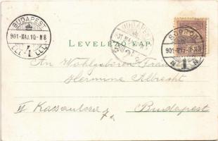 1901 Sopron, Ödenburg; Deák tér, Várostorony, piac, gyalogsági és tüzérek laktanya, este. Regel &...