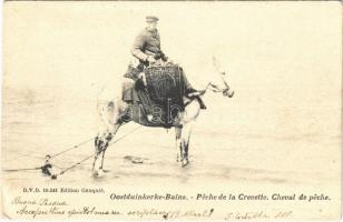 Ostdunkerque, Oostduinkerke, Ostdunkerque-Bains; Peche de la Crevette, Cheval de peche / Belgian folklore, shrimp fishing, fishing horse