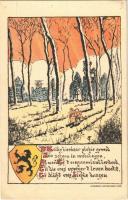 1917 Belgisch Steunfonds der Economische Werken ten ten voordele der slachtoffers van den oorlog / WWI Belgian support fund for the victims of the war, art postcard (EK)