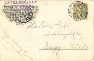 1904 Lady art postcard, lady with rabbit. Emb. litho (EK)