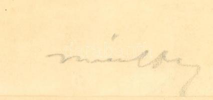 Márffy Ödön (1878-1959): Műlovar. Akvarellel színezett litográfia, papír, jelzett. Lap tetején javít...