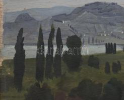 Molnár C. Pál (1894-1981): Kilátás Tördemic felé (Badacsonytördemic). Olaj, falemez, jelzett. Hátold...