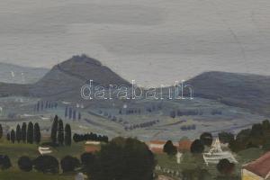 Molnár C. Pál (1894-1981): Kilátás Tördemic felé (Badacsonytördemic). Olaj, falemez, jelzett. Hátold...