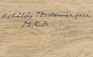 Molnár C. Pál (1894-1981): Kilátás Tördemic felé (Badacsonytördemic). Olaj, falemez, jelzett. Hátold...