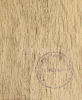 Molnár C. Pál (1894-1981): Kilátás Tördemic felé (Badacsonytördemic). Olaj, falemez, jelzett. Hátold...