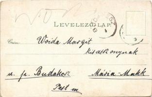 1899 (Vorläufer) Balassagyarmat, B.-Gyarmat; Fő utca, megyeház, kórház, fogház. Wertheimer Zsigmond ...