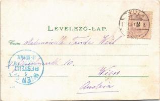 1899 (Vorläufer) Gyula, megyeház, Népkerti pavilon, Közművelődési Múzeum, Gr. Almássy kastély, Erkel...