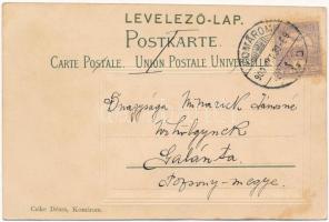 1900 Komárom, Komárnó; utca, Szentháromság szobor, üzletek. Czike Dénes kiadása / street, trinity st...